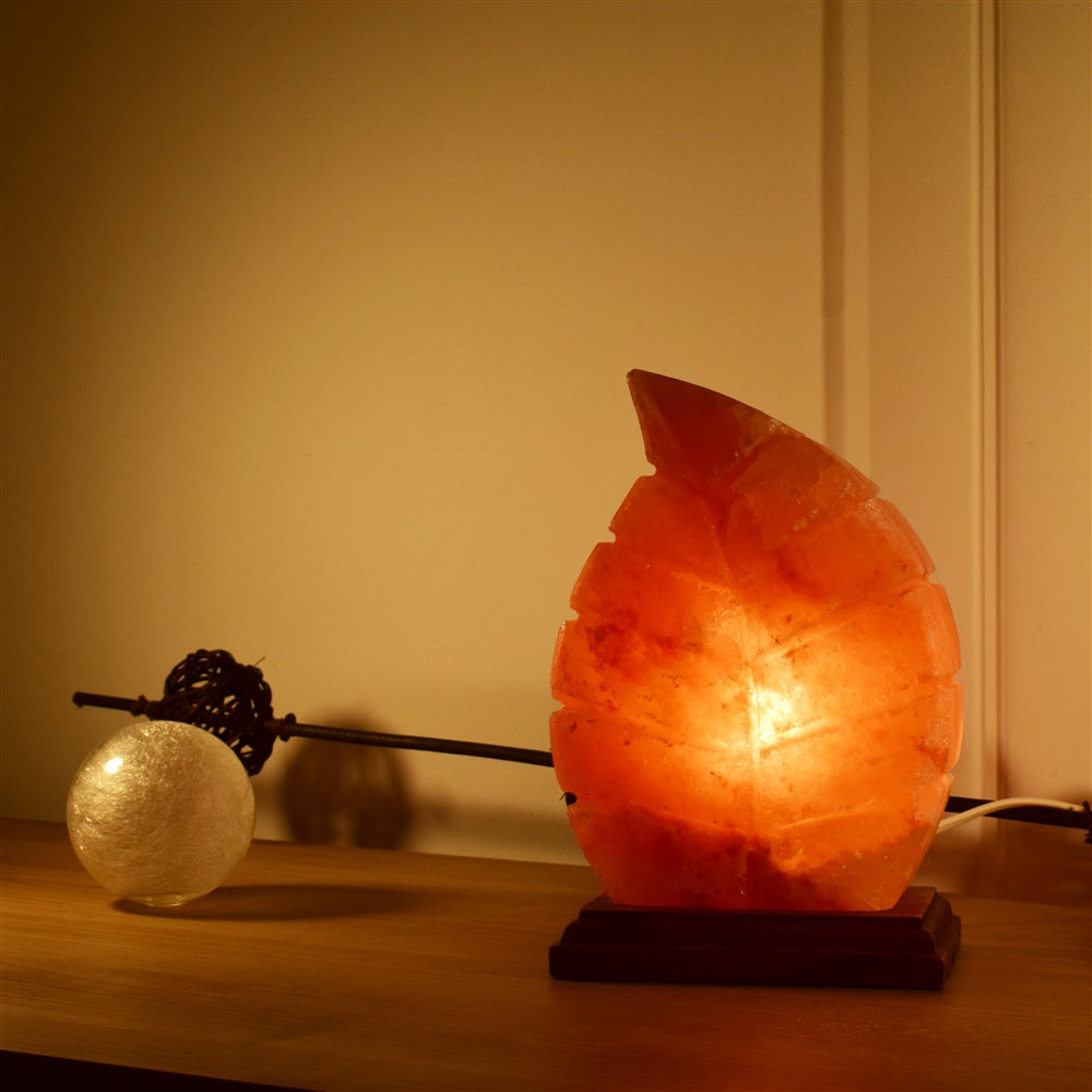 Salz Lampe Blatt 0 Dein Heiliges Chakra