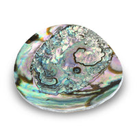 SCHMUCK SCHALE Abalone Muschel groß